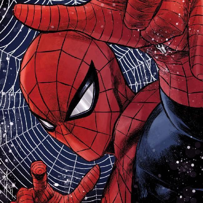 Spider - Man