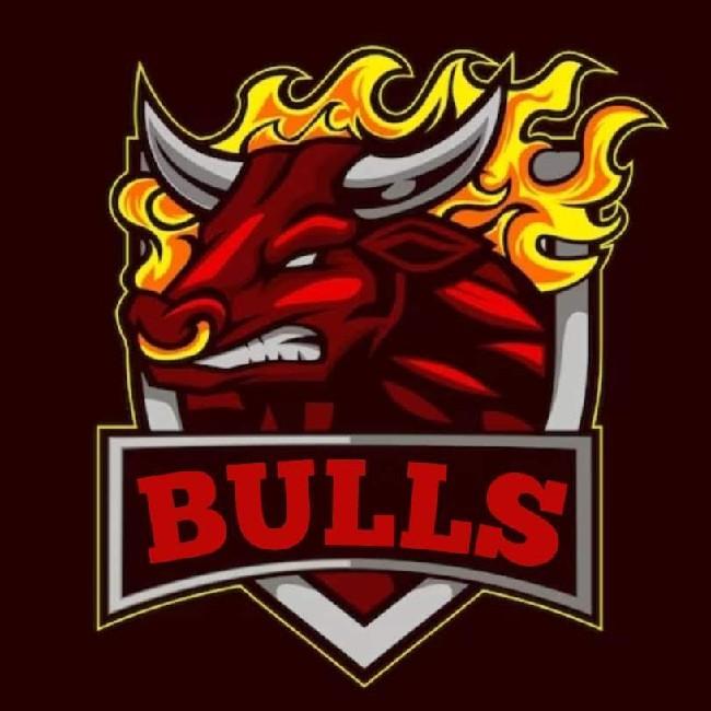 Bulls