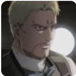 Reiner Braun