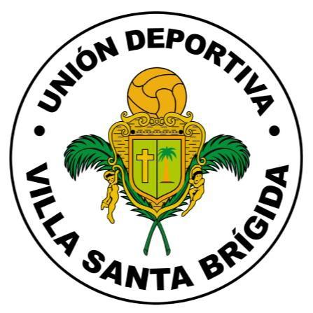 UD Villa de Santa Brígida