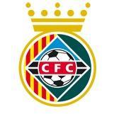 Cerdanyola del Vallés FC