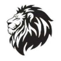 City Lions