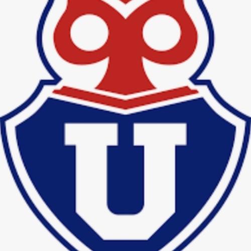 Universidad De Chile
