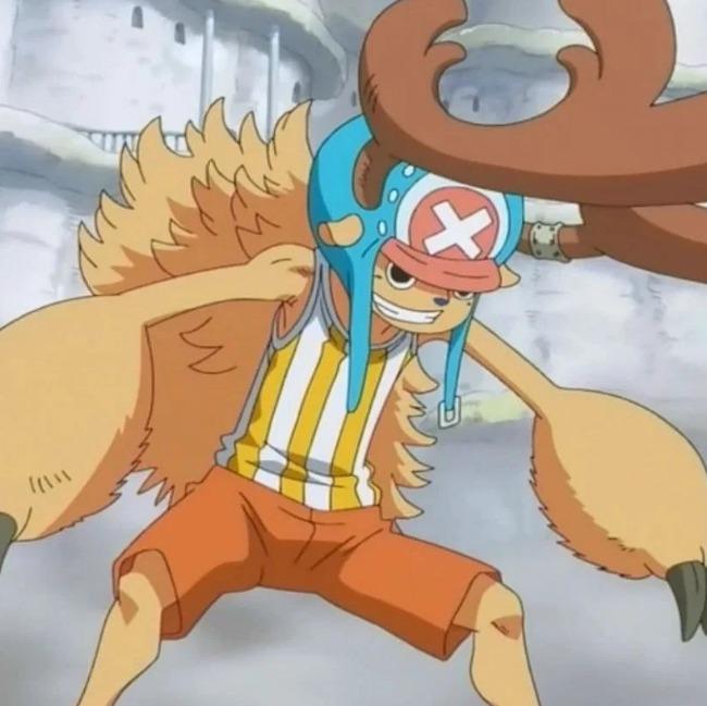 Tony Tony Chopper