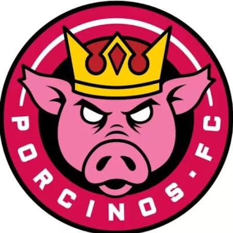 Porcinos FC