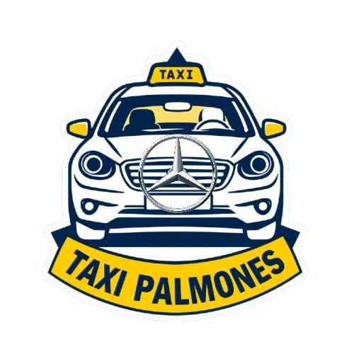 Taxi Palmones