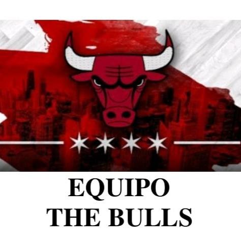 THE BULLS