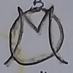 ,Marsella
