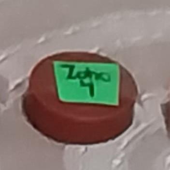 Zoho