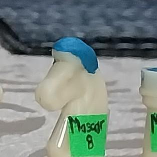 Masoar