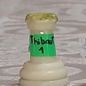 (A)Thibaut
