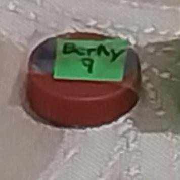 Berky