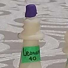 Leonardo