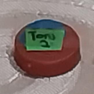 Toni
