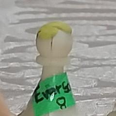 Everson