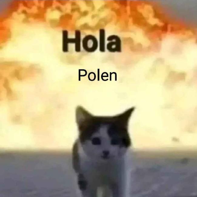 LaLiga Falinks 2.0