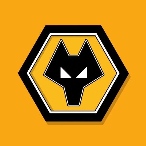 Wolverhampton F.C