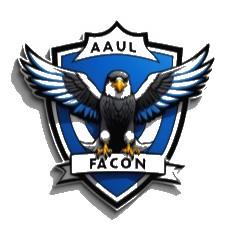 Falcon FC