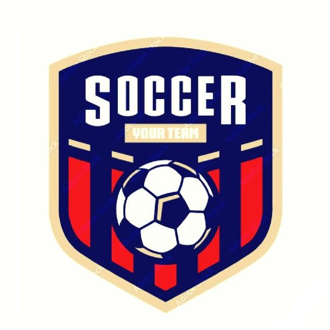 Soccer Champions Team