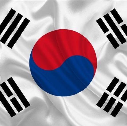 South Korea (Роман)