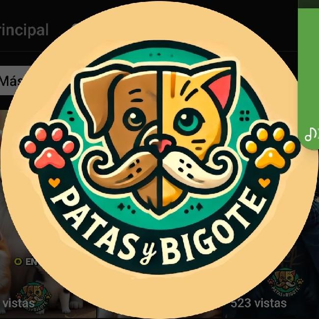 Inter de patitas