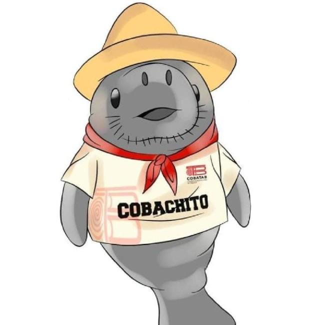 Cobachitos