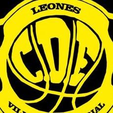 Leones De El Escorial