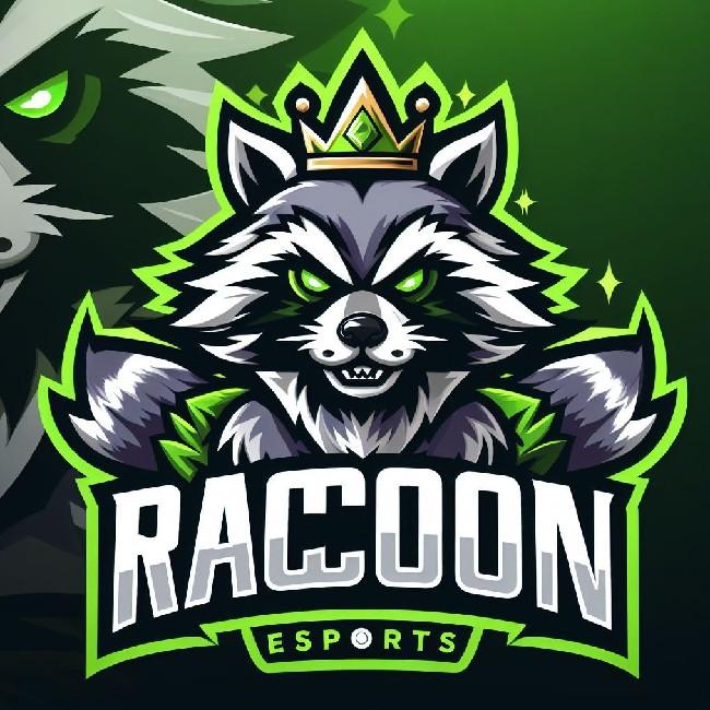 Raccoon eSports