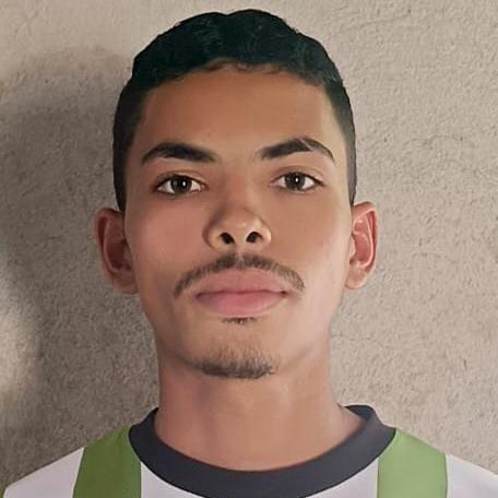 WESLEY PEREIRA DA SILVA