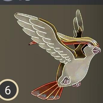 Pidgeot