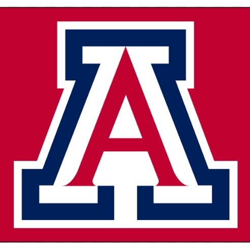 #6 Arizona