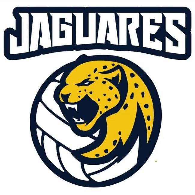 Jaguares