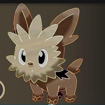 Lillipup