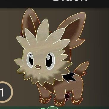 Lillipup