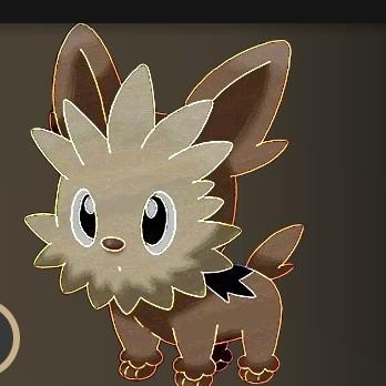 Lillipup