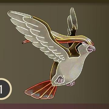 Pidgeot