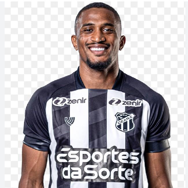 S. Mineiro