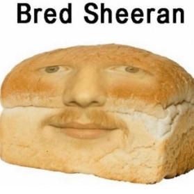 Breed Sheeran