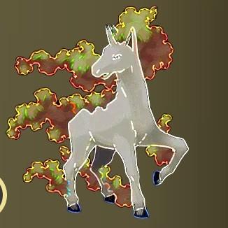 Rapidash