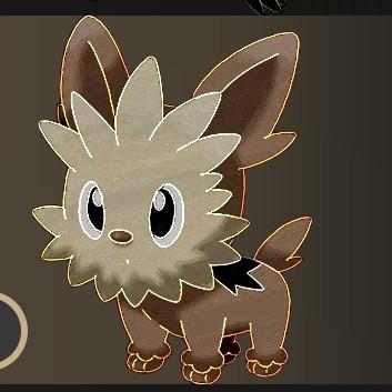 Lillipup
