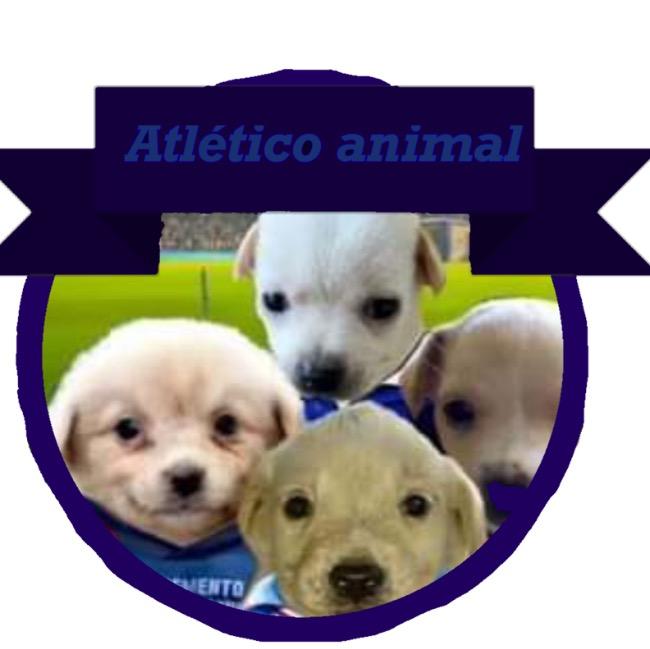 Atlético Animal