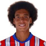 Axel Witsel