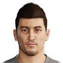 D. Despotovic