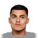 N. Radonjic