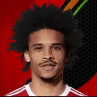 L. Sané