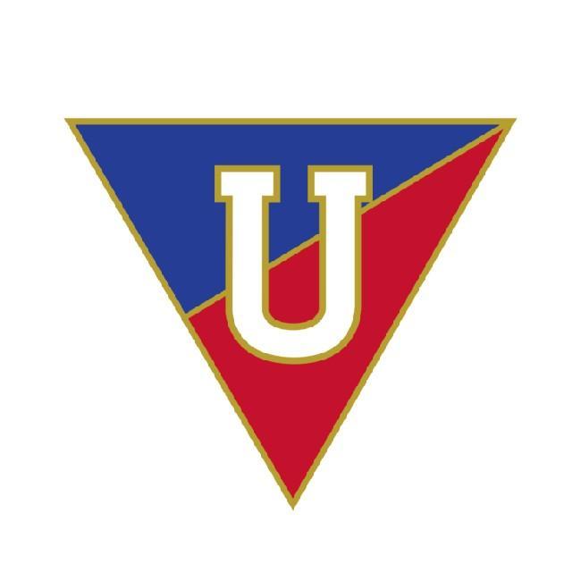 LDU