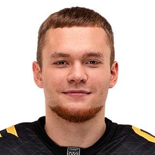 Гуляев Михаил