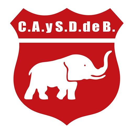 Defensores de Viedma