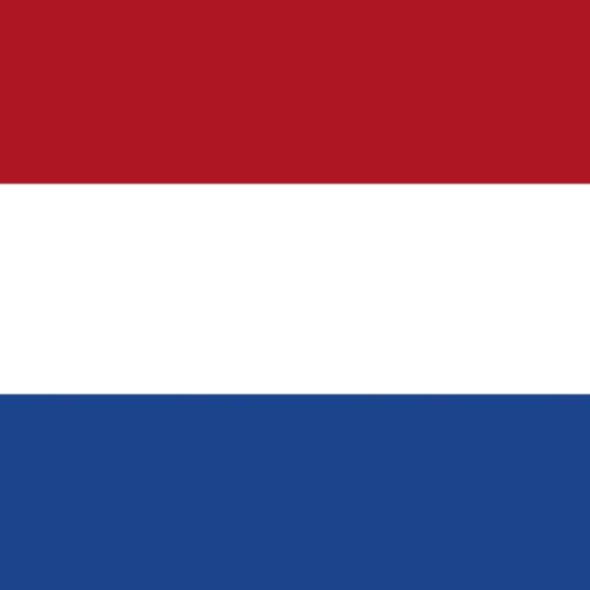 G. Bale (Holanda)