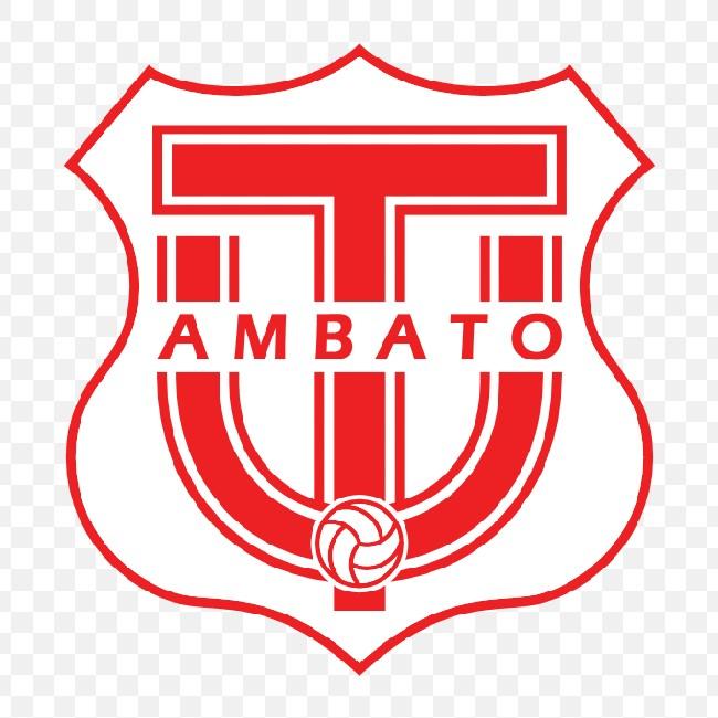 Técnico Universitario